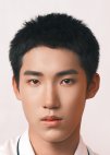 Dong Li Wu You