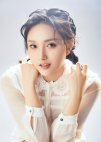 Wang Shu Dan